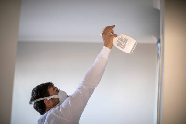 Best Mold Damage Repair  in Iva, SC